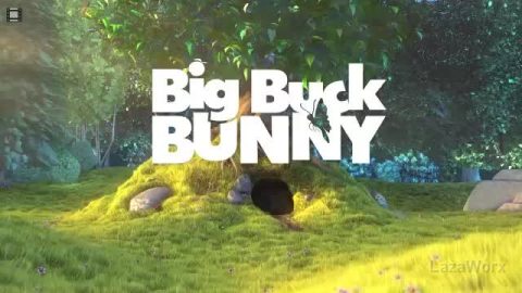 Self-hosted Video Example: Big Buck BUNNY